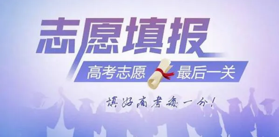 志愿填报