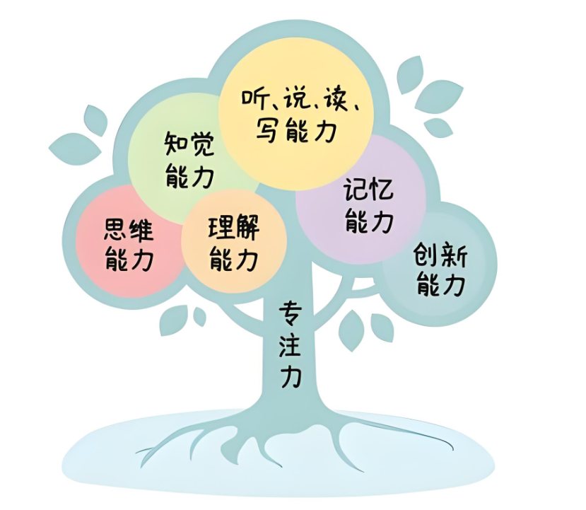 儿童专注力训练