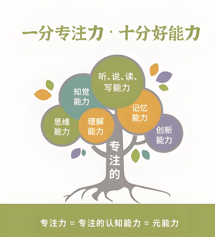 专注力康复训练机构