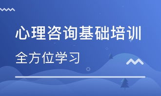 咨询培训
