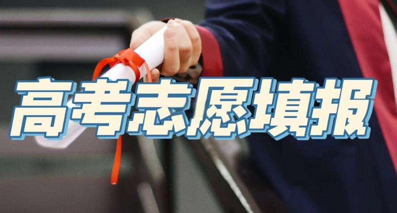 高考志愿填报