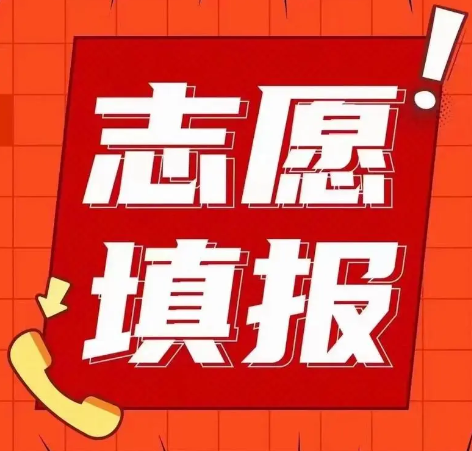志愿填报