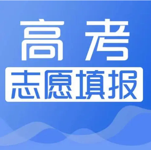 机构的优势