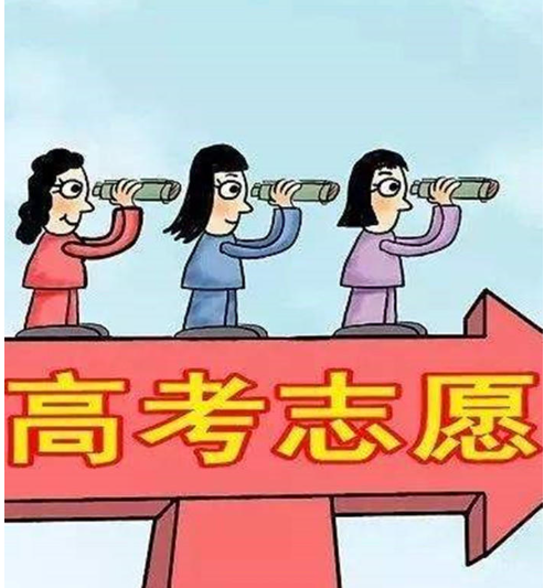 高考志愿