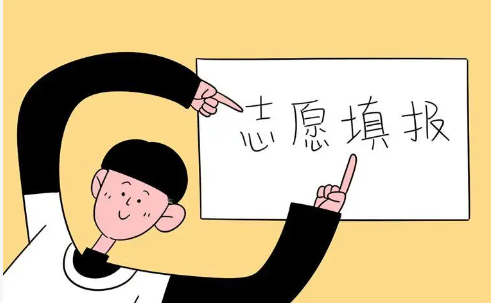 志愿填报机构