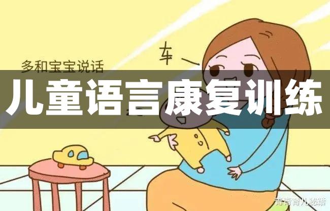 儿童语言康复训练 儿童语言康复训练