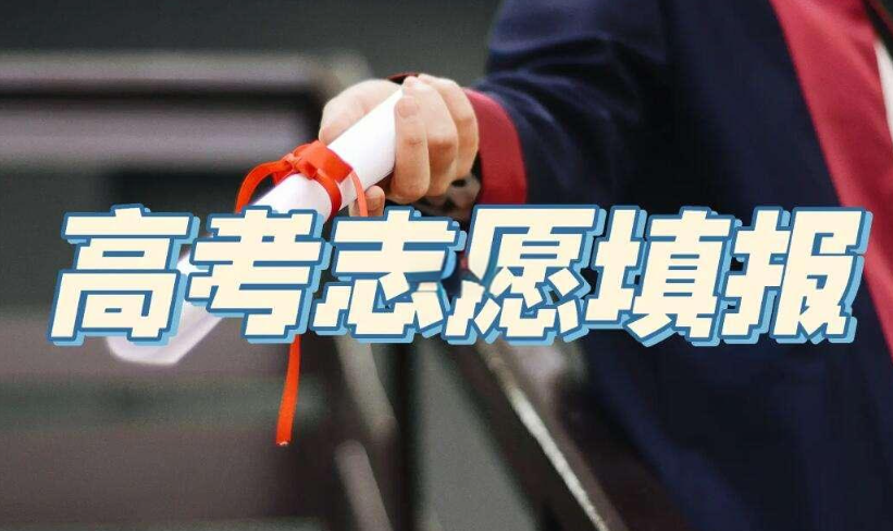 高考志愿填报机构优势