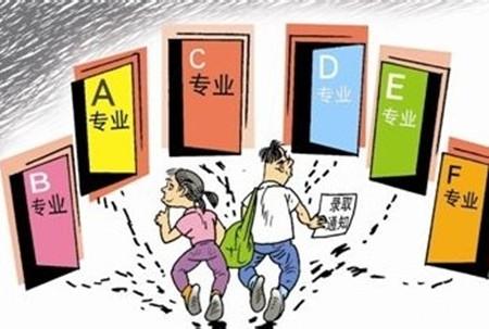 专业选择