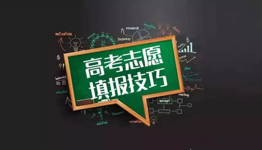 志愿填报 志愿填报