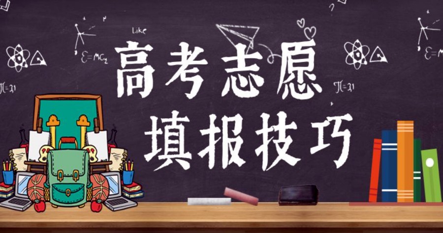 志愿填报 志愿填报