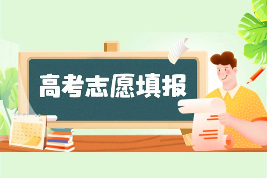 志愿填报 志愿填报