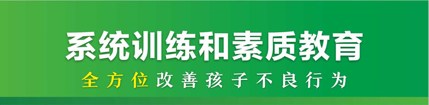 青少年综合素质教育
