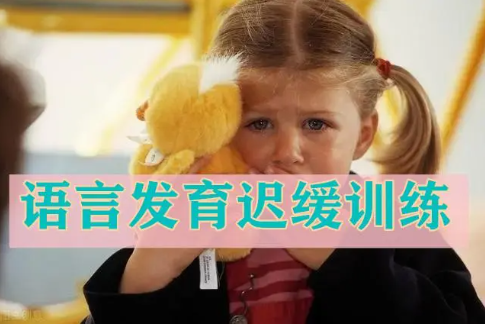 语言发育迟缓训练机构