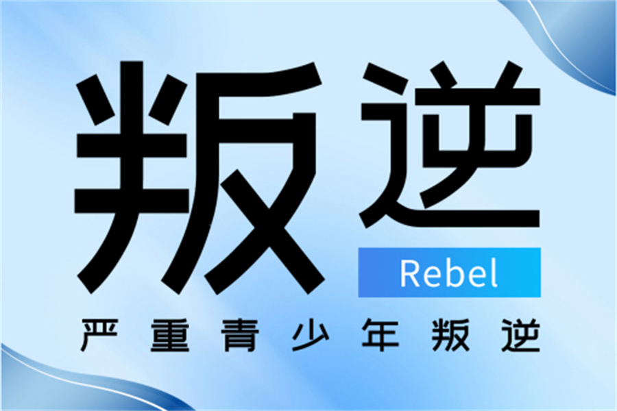 叛逆戒网瘾学校 叛逆戒网瘾学校