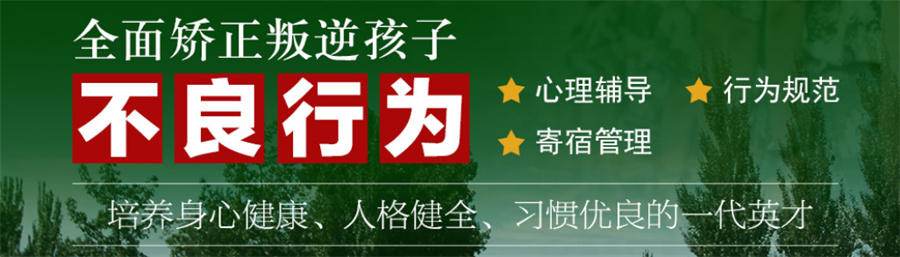 叛逆戒网瘾学校