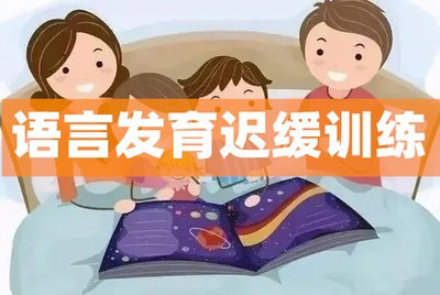 儿童语言障碍康复机构