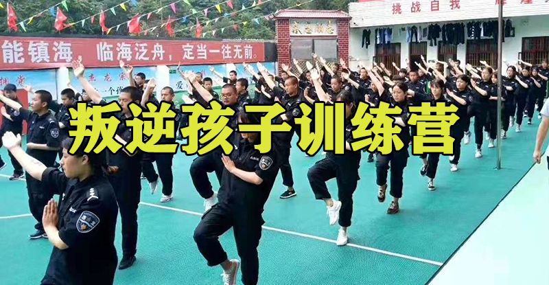 训练营锻炼