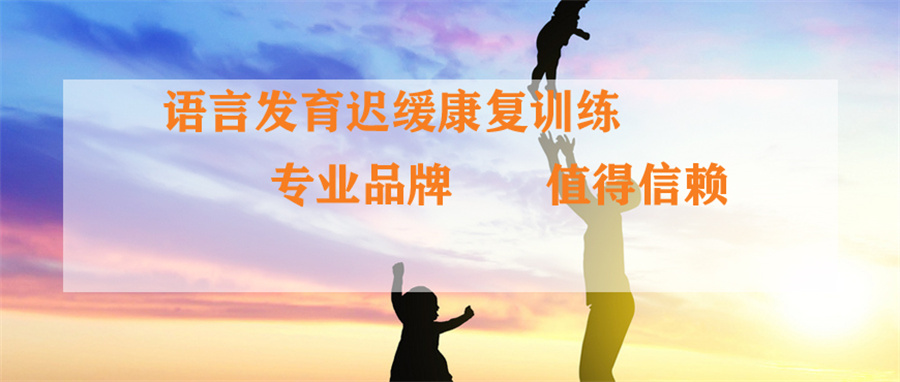 儿童语言康复训练机构