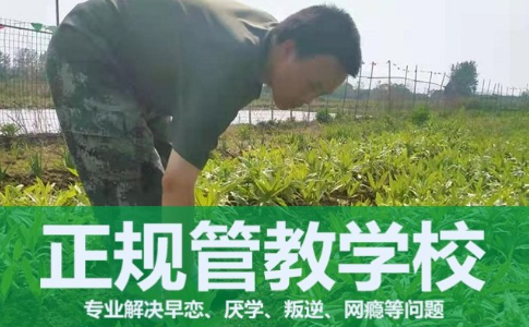 军事化 军事化