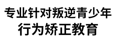 叛逆教育 叛逆教育