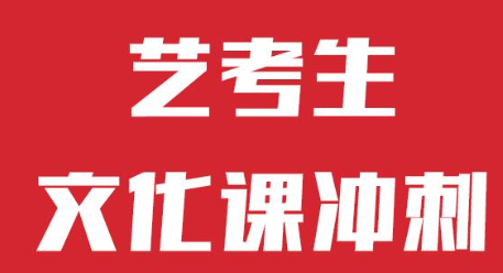 艺考文化课