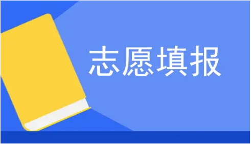 志愿填报 志愿填报