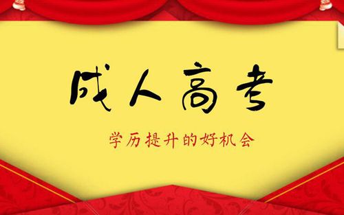 成人高考.jpeg