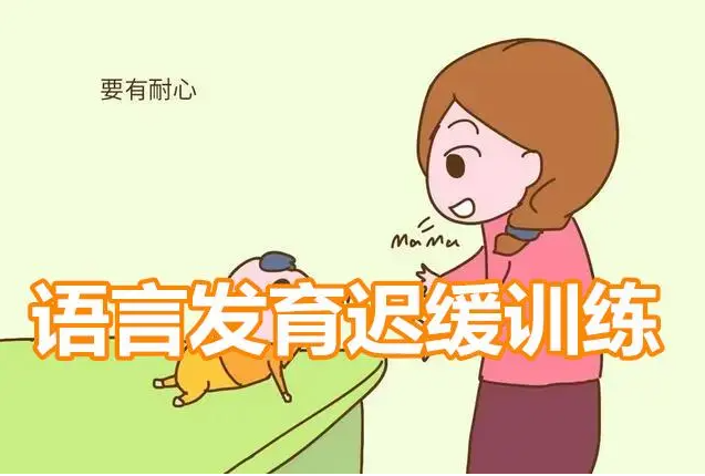 语言发育迟缓训练课程