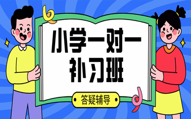 小初高全科文化辅导