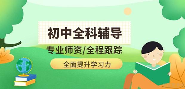 小初高全科文化辅导