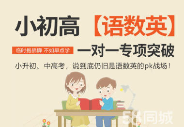 小初高全科文化辅导