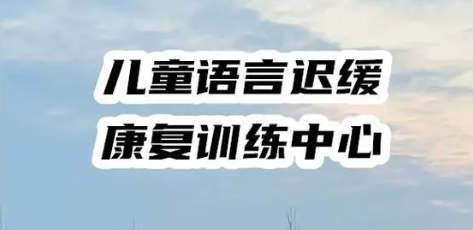 儿童语言迟缓康复训练机构