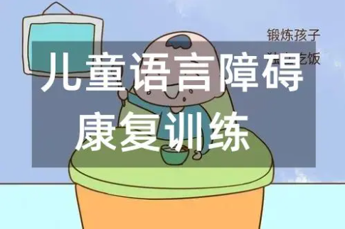儿童语言训练机构