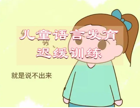 儿童语言迟缓训练机构