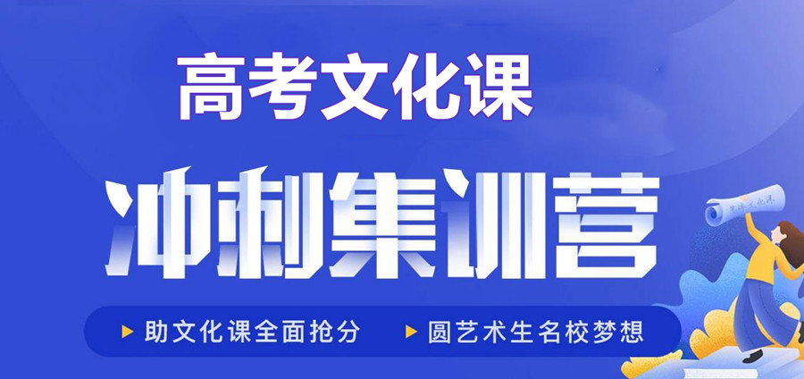 艺考生文化课