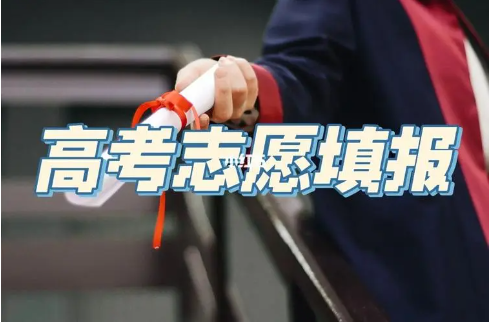 高考志愿填报