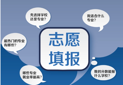 志愿填报机构