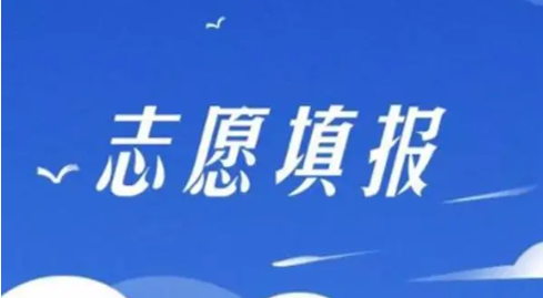 高考志愿填报机构