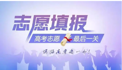 志愿填报机构