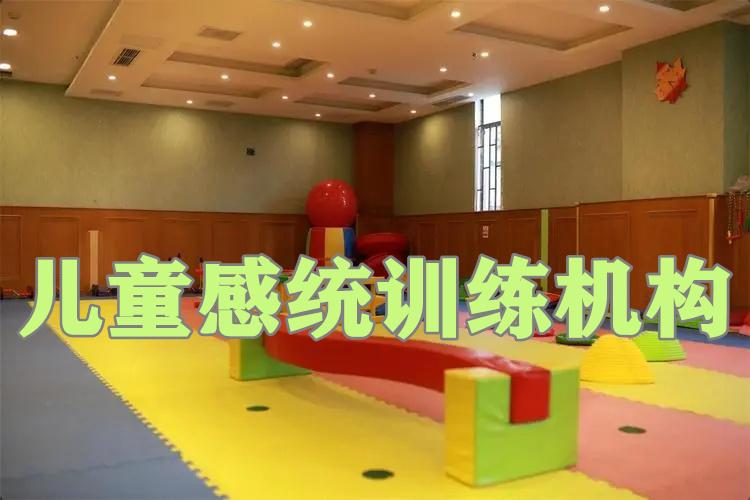 儿童感统失调训练 儿童感统失调训练