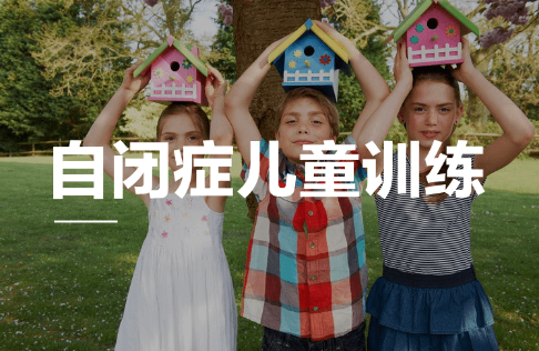 自闭症儿童康复训练