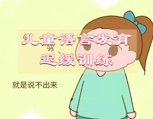 儿童语言发育迟缓康复训练机构排名