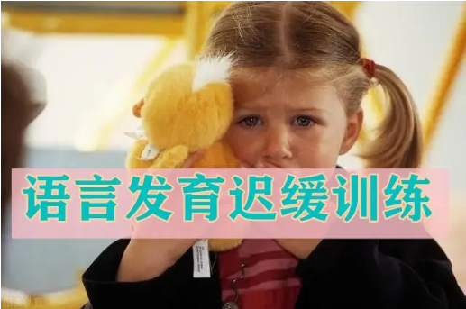 儿童语言发育迟缓会造成什么影响