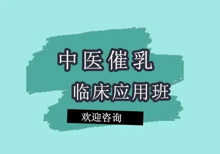 中医催乳临床应用班