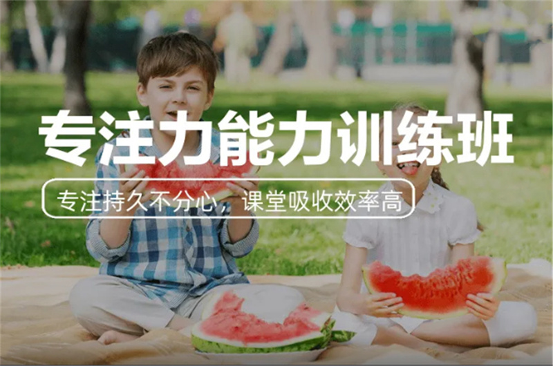 专注力训练培训机构 专注力训练培训机构