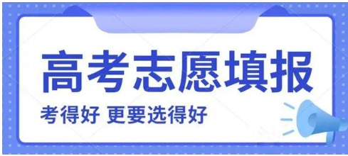 志愿填报机构