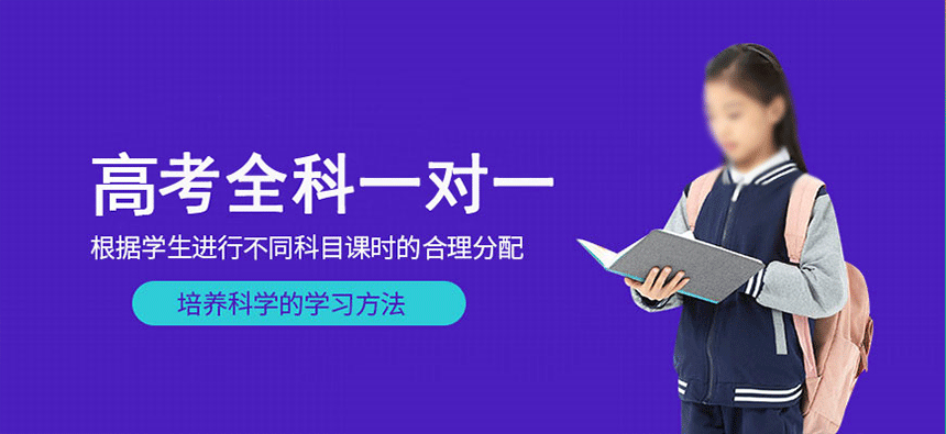 高考全科一对一辅导