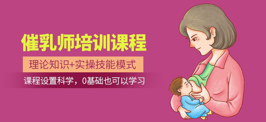 催乳培训课程