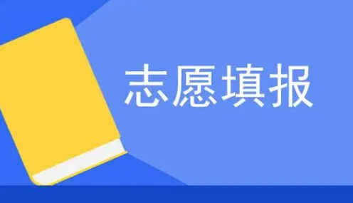 高考志愿填报