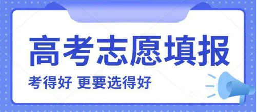 志愿填报辅导